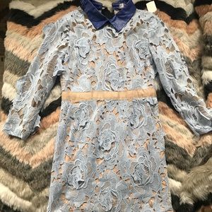 Self Portrait style (brand: Luminosity London)